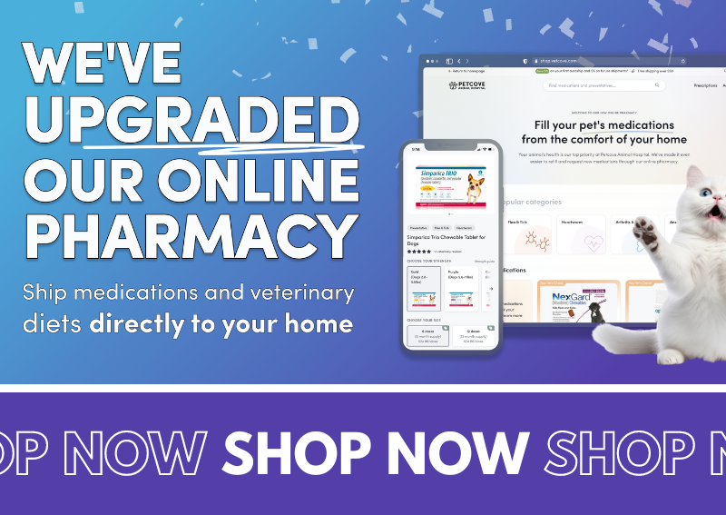 Carousel Slide 6: Shop our Online Pharmacy